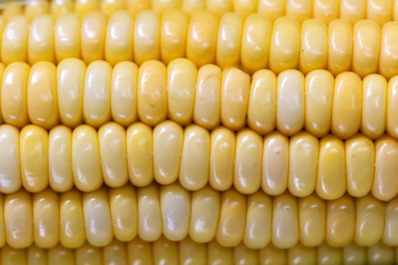 plant foods a variety of plant foods that contribute towards your 30 plants a week.